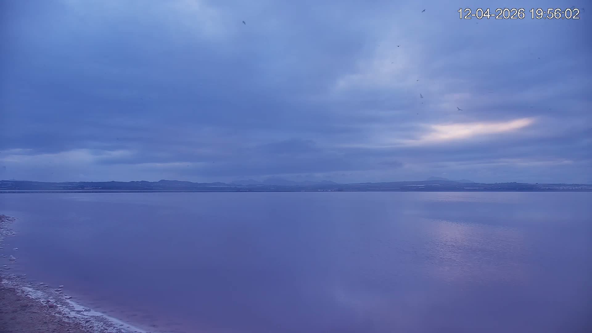 Torrevieja Rosa Lake (Lago Rosa) Live Cam - Torrevieja, Alicante, Valencia, Spain