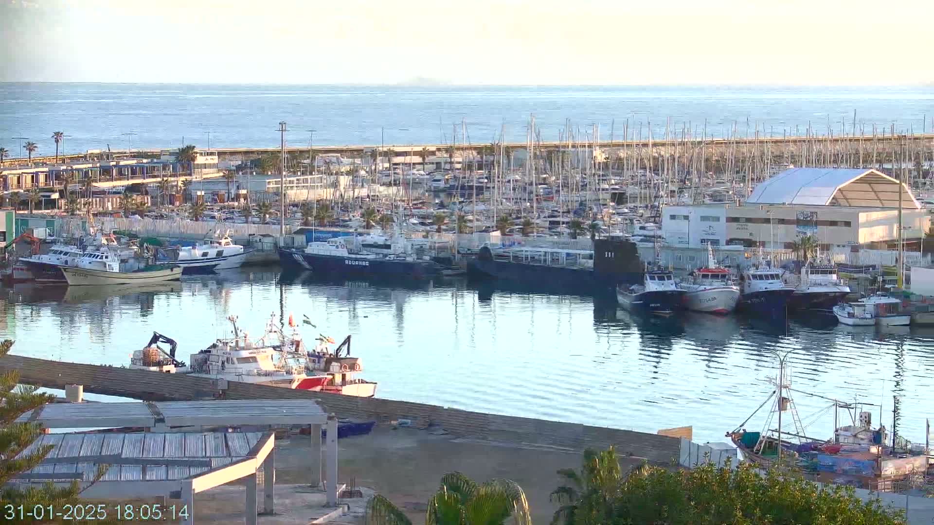 A harbor filled with numerous boats and yachts under a clear, calm sky.