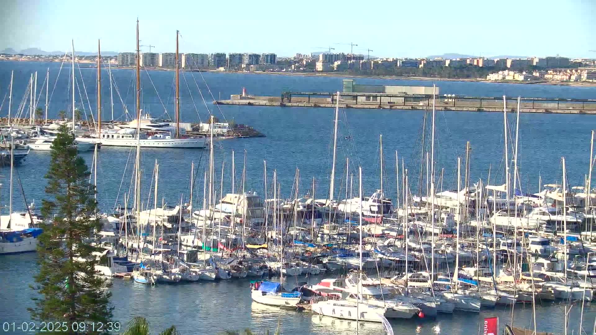 A large marina filled with numerous sailboats and motor yachts is situated on calm blue water, with a distant cityscape visible under a clear sky.