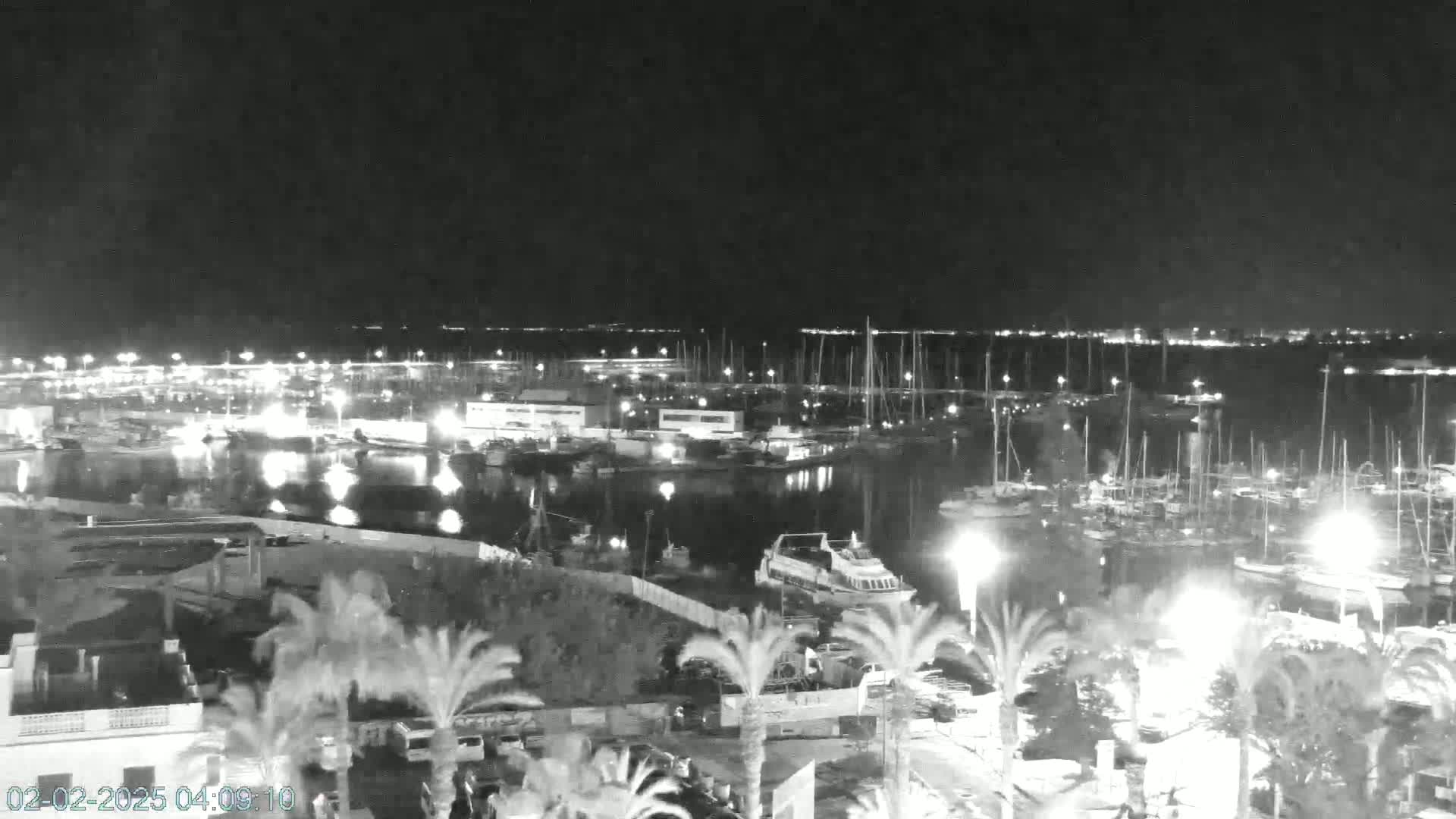 A nighttime, high-angle view shows a marina filled with boats and surrounded by palm trees and buildings, under a clear, dark sky.
