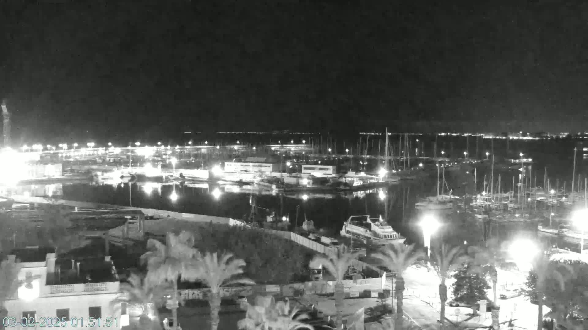 A nighttime, low-light view of a harbor filled with boats, illuminated by lights from the docks and surrounding buildings, with palm trees visible in the foreground.