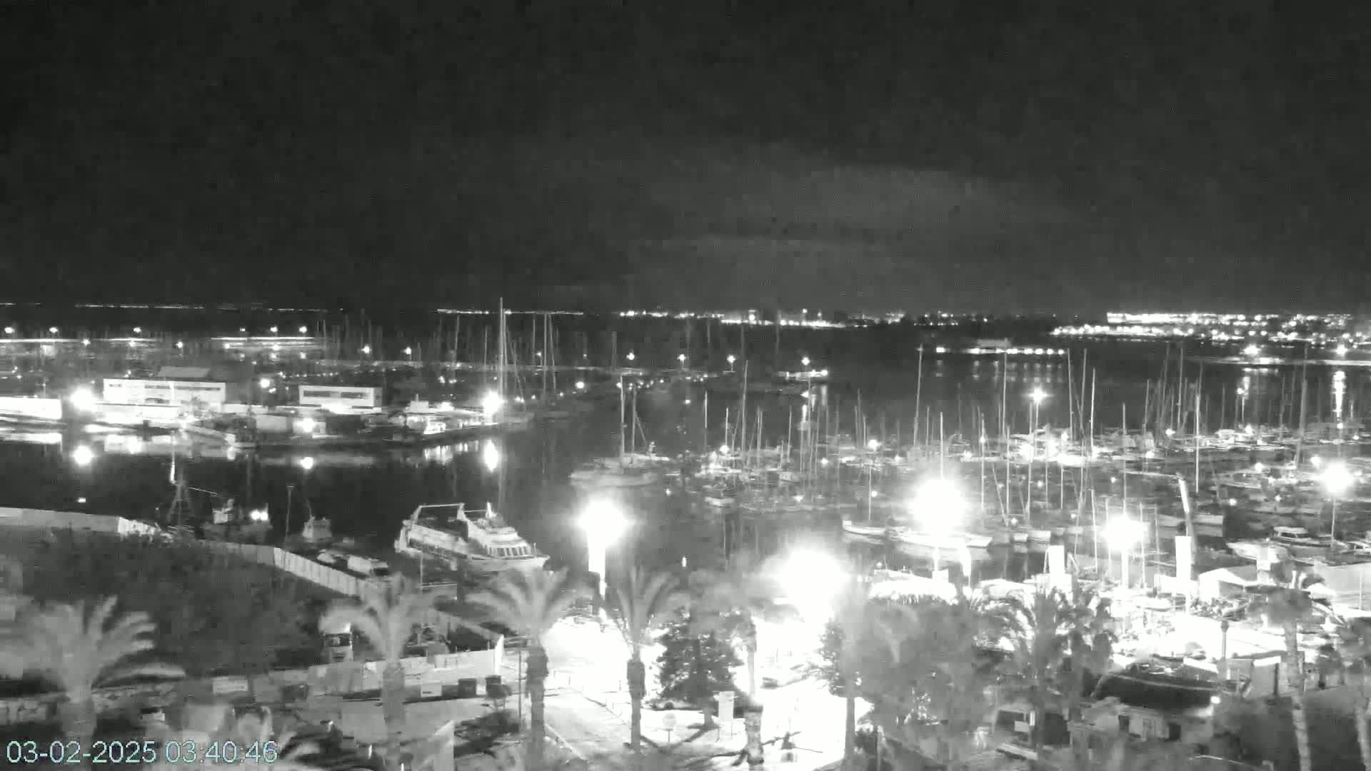 A nighttime, black-and-white view of a marina filled with numerous boats and illuminated by lights, with a calm body of water extending to a city skyline in the distance.