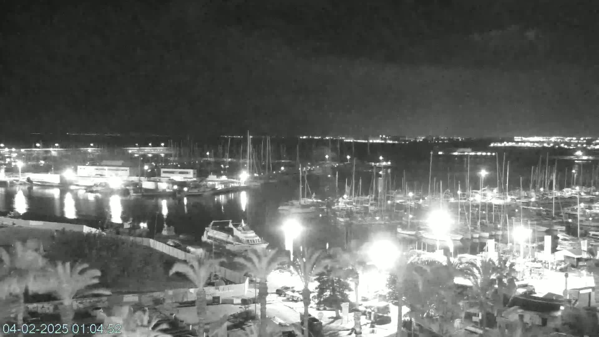 A nighttime, low-light view of a marina filled with boats, illuminated by artificial lights, with palm trees and buildings visible on the shore.