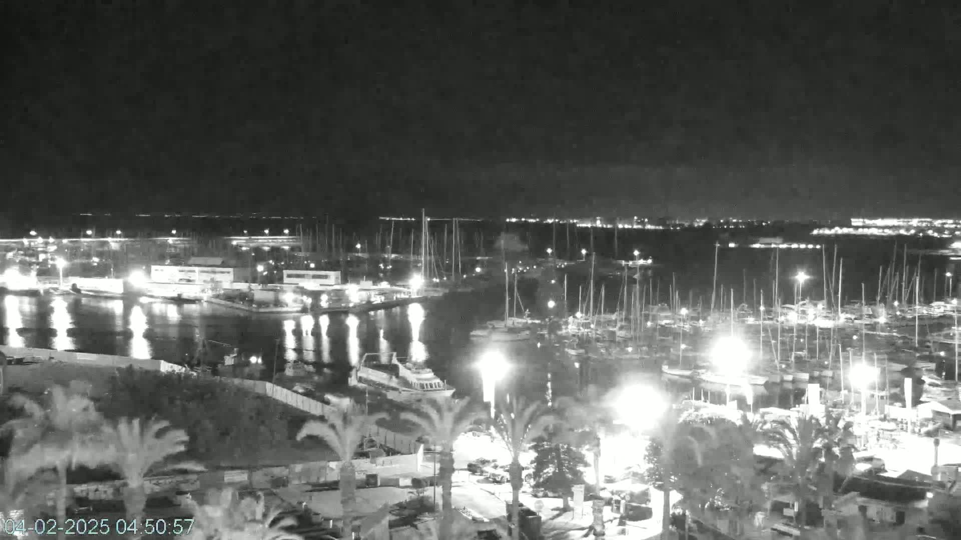 A nighttime, low-light view of a harbor filled with many boats and illuminated by lights from the shore and boats.