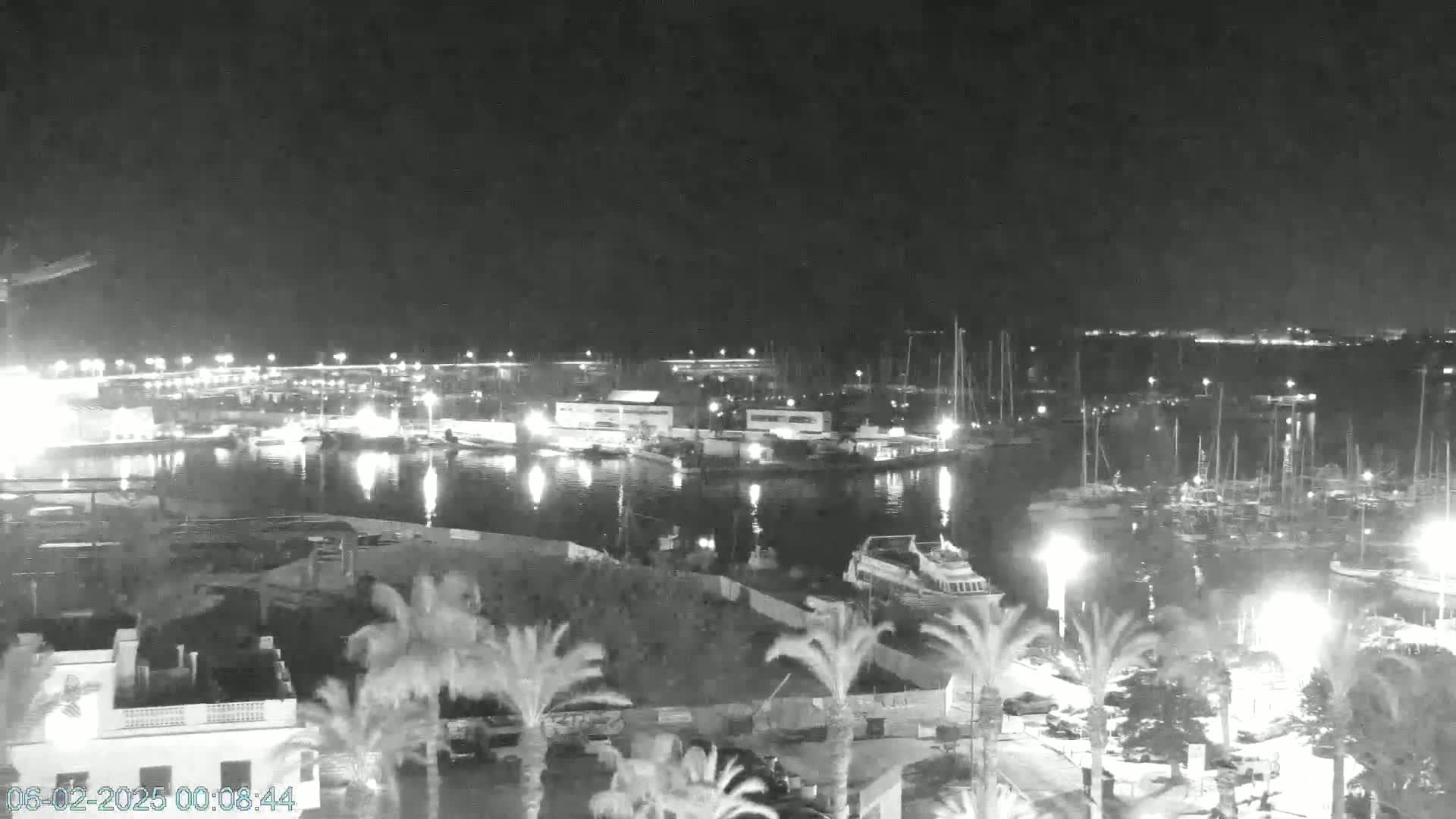A nighttime, low-light view of a harbor filled with docked boats and buildings, surrounded by palm trees.
