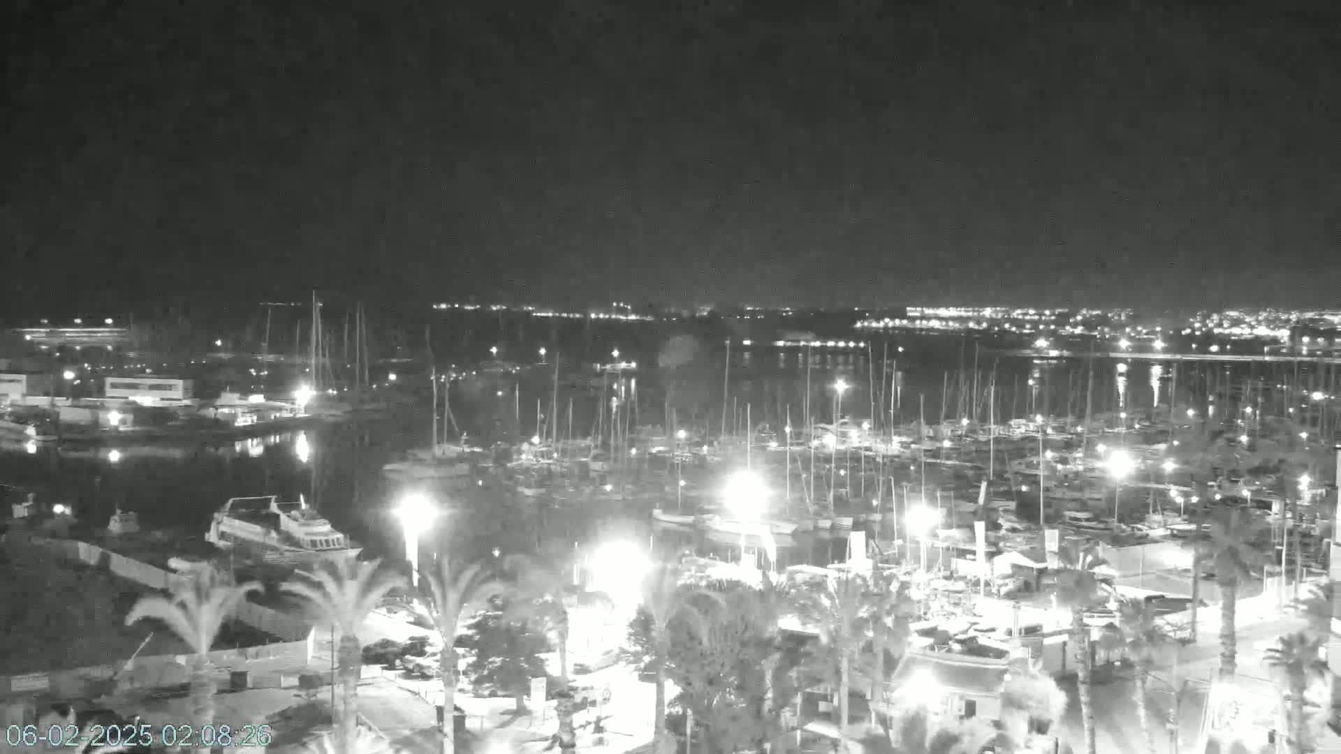 A nighttime, high-angle view of a marina filled with boats, illuminated by lights, with palm trees and a city skyline visible in the distance.