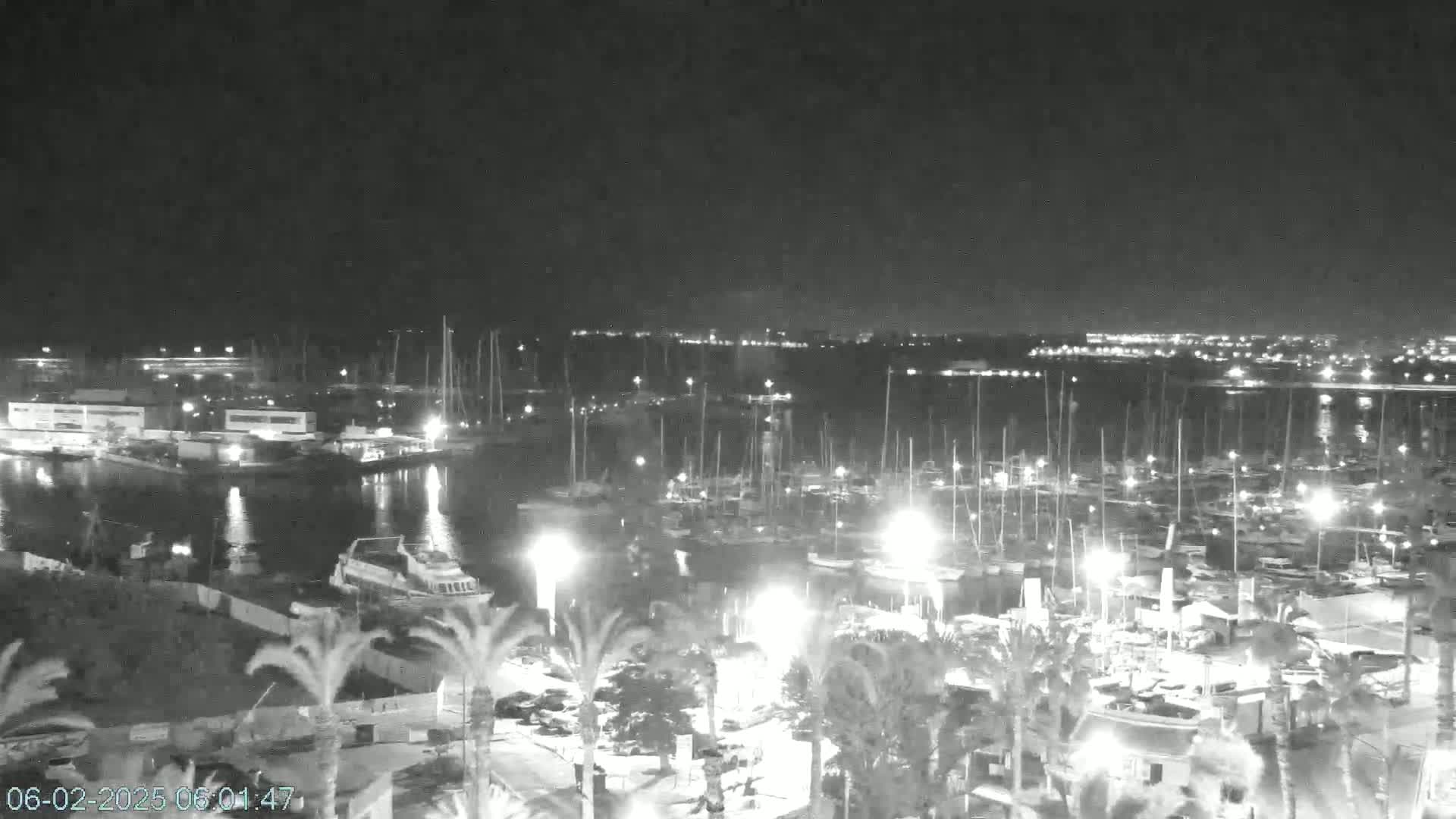 A nighttime view of a marina filled with boats and illuminated by lights, with palm trees in the foreground under a clear, dark sky.