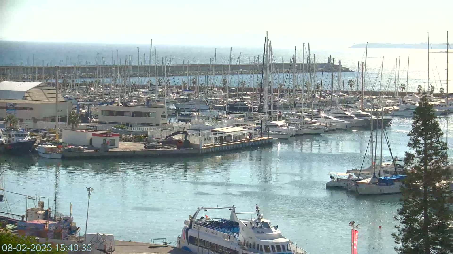 A harbor filled with numerous sailboats and yachts under a clear, sunny sky.