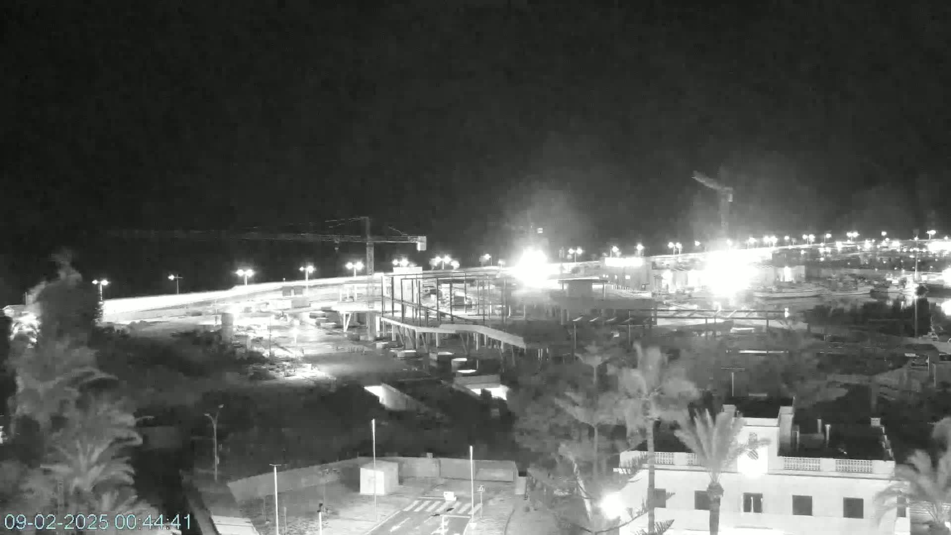 A nighttime, black and white view of a coastal construction site with palm trees and buildings in the foreground, under a clear sky.
