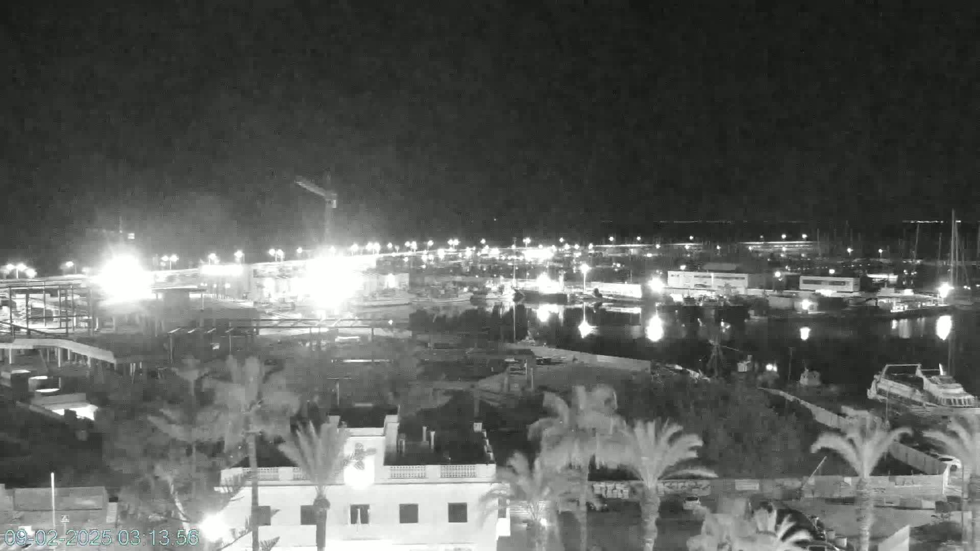 A nighttime view of a harbor filled with boats, illuminated by artificial lights, surrounded by palm trees and buildings under a clear, dark sky.