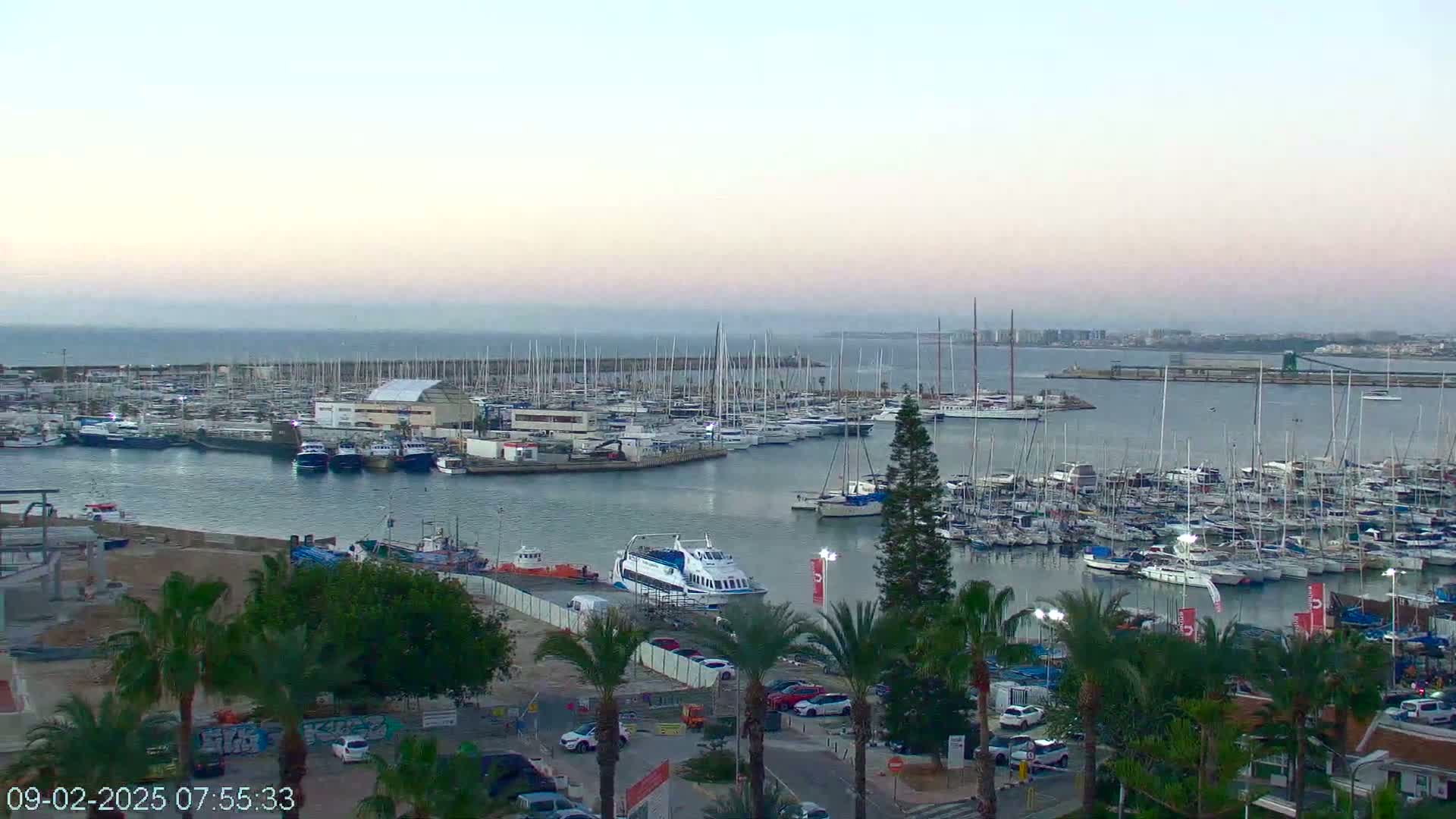 A marina filled with numerous boats and yachts is seen under a hazy, pale sky, with palm trees and buildings visible in the foreground.
