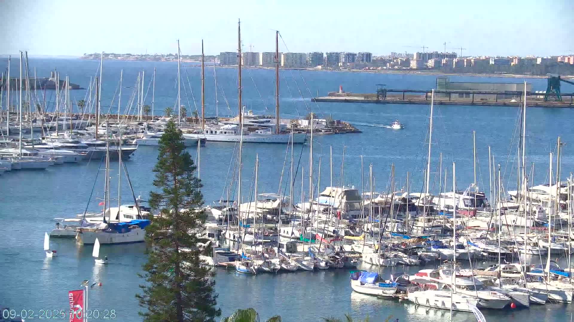 A large marina filled with numerous sailboats and motor yachts on a sunny day.