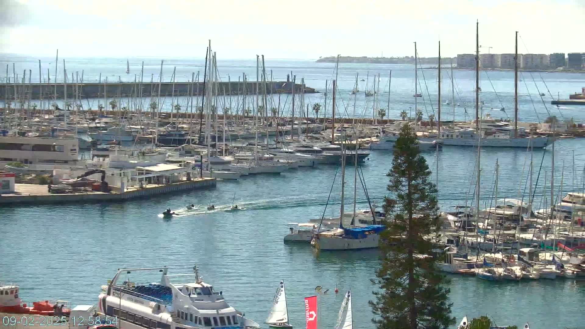 A sunny day at a marina filled with numerous sailboats and motorboats, with a ferry and jet skis visible in the water.
