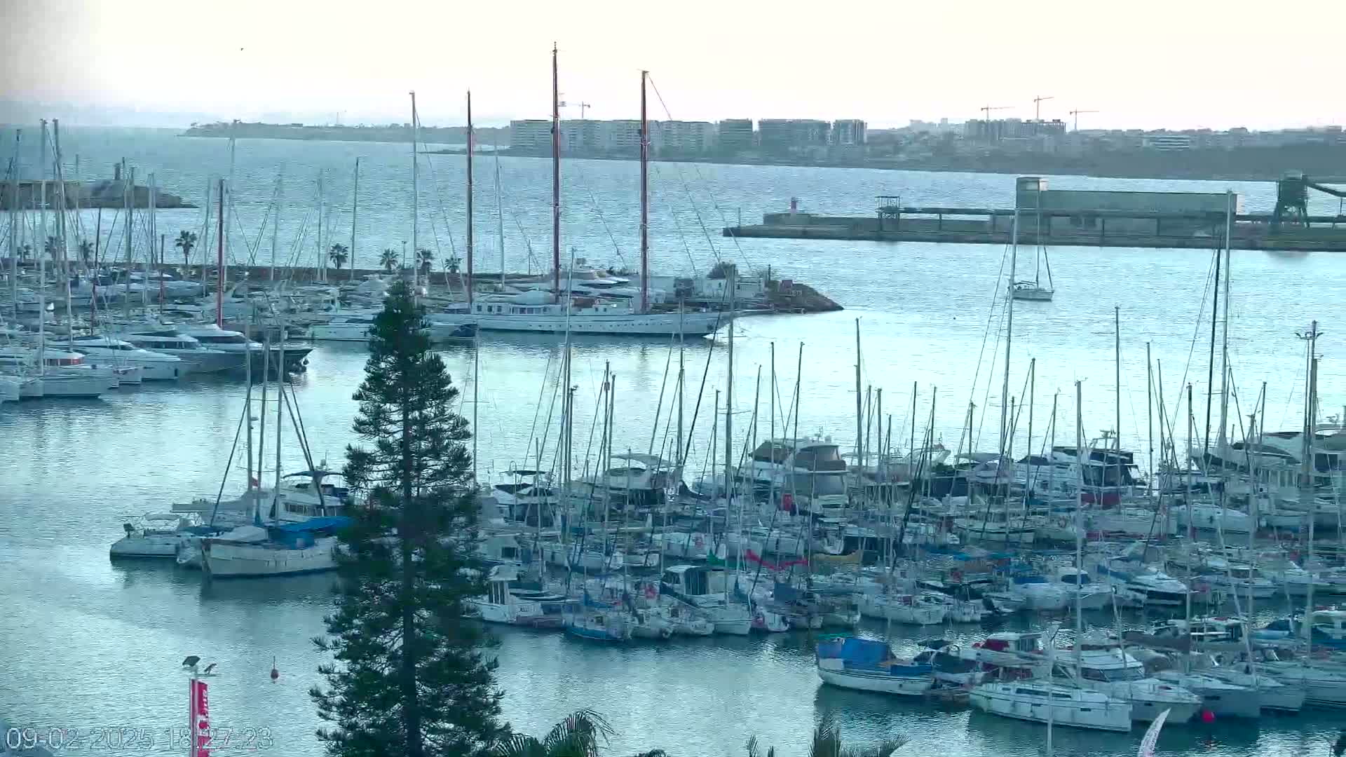 Many sailboats and motorboats are docked in a marina on a calm, overcast day, with a larger vessel and a city skyline visible in the distance.