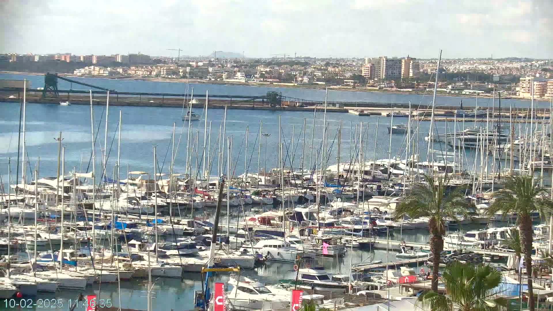 A densely packed marina filled with sailboats and motor yachts is situated in front of a city skyline under partly cloudy skies.