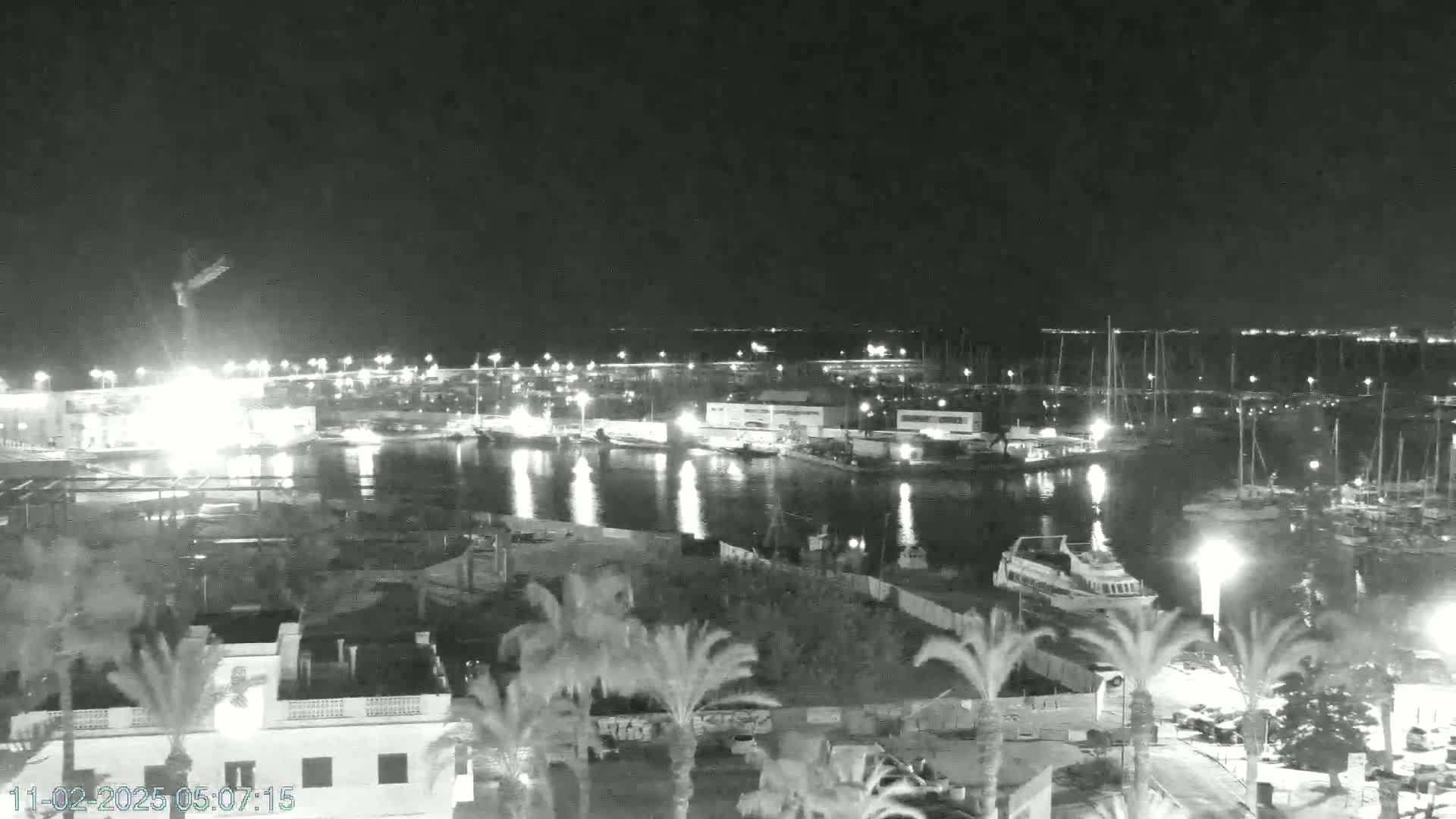 A nighttime, high-angle view of a harbor filled with boats, illuminated buildings, and palm trees under a dark sky.