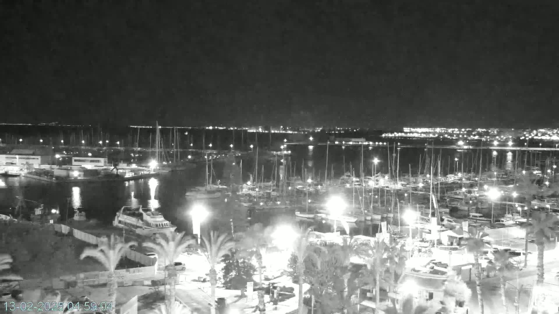 A nighttime, black and white view of a marina filled with numerous boats, illuminated by lights, with a calm body of water extending to a city skyline in the distance.