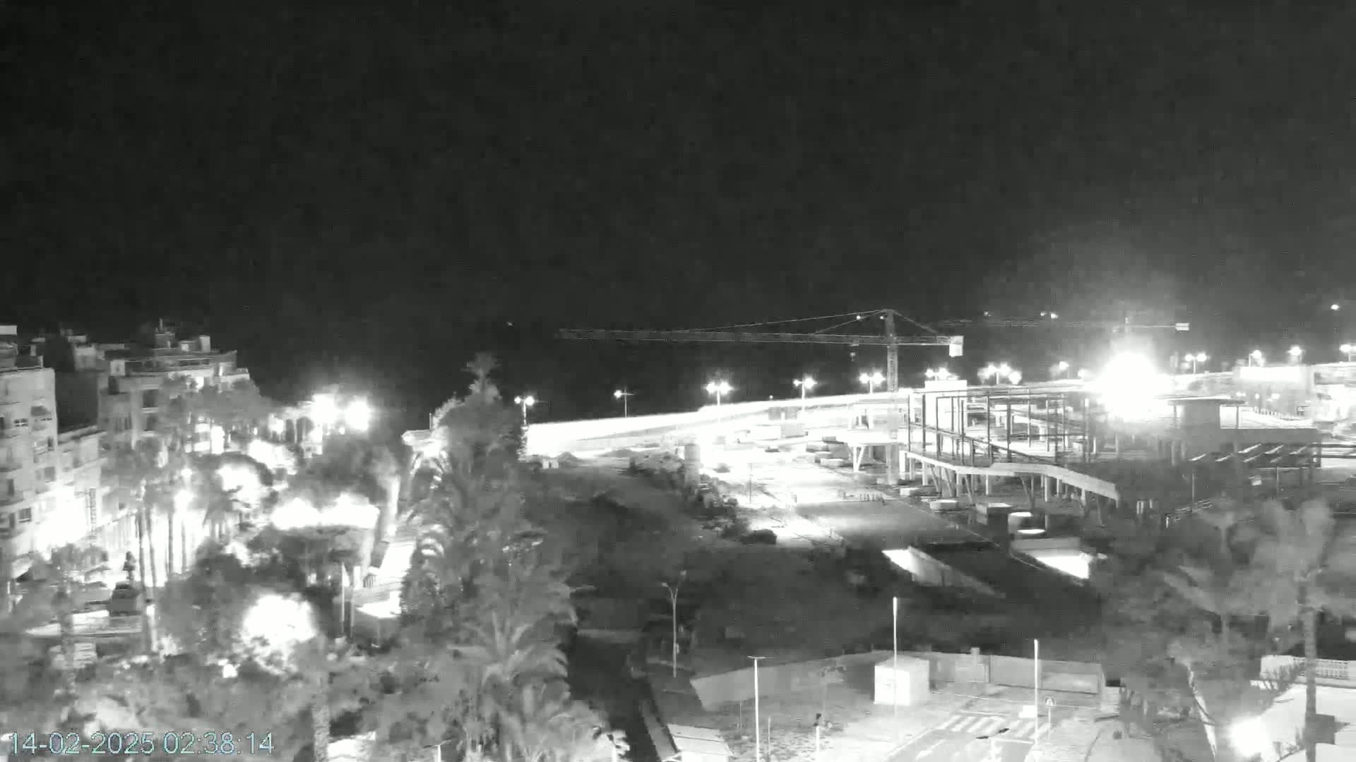 A nighttime, black and white view shows a coastal area with buildings, palm trees, construction, and a crane under a clear, dark sky.