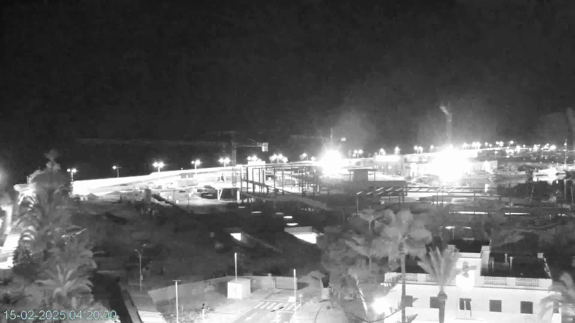 A nighttime, black and white view of a coastal construction site with palm trees and buildings in the foreground under a clear sky.