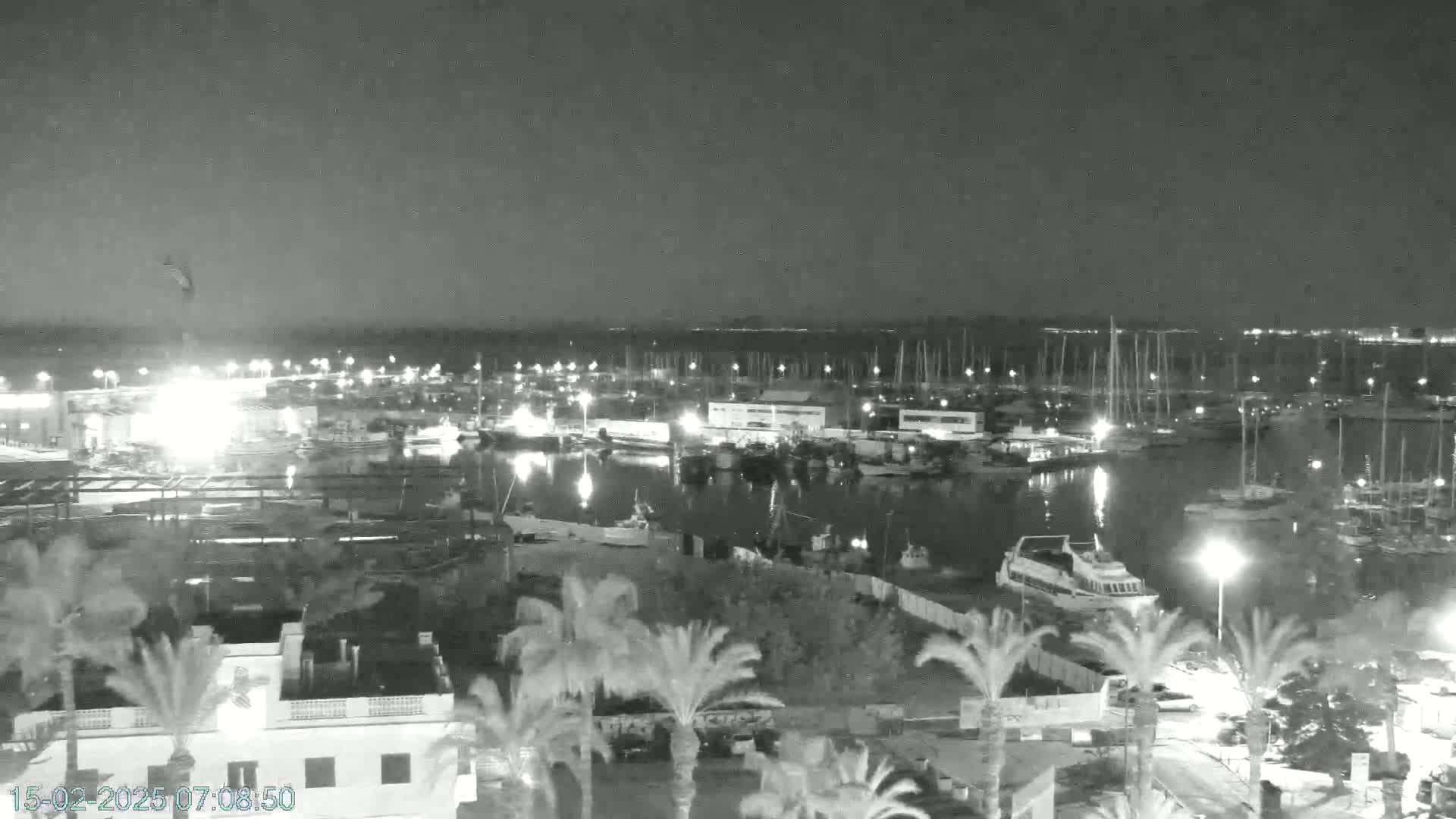 A nighttime, black-and-white view of a marina filled with boats, surrounded by palm trees and buildings under a clear sky.
