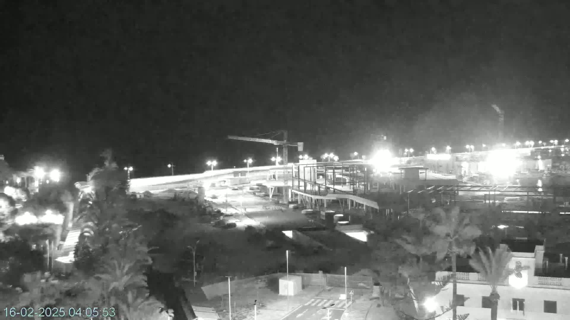 A nighttime, monochrome view of a construction site near a coastline, illuminated by artificial lights, with palm trees in the foreground.