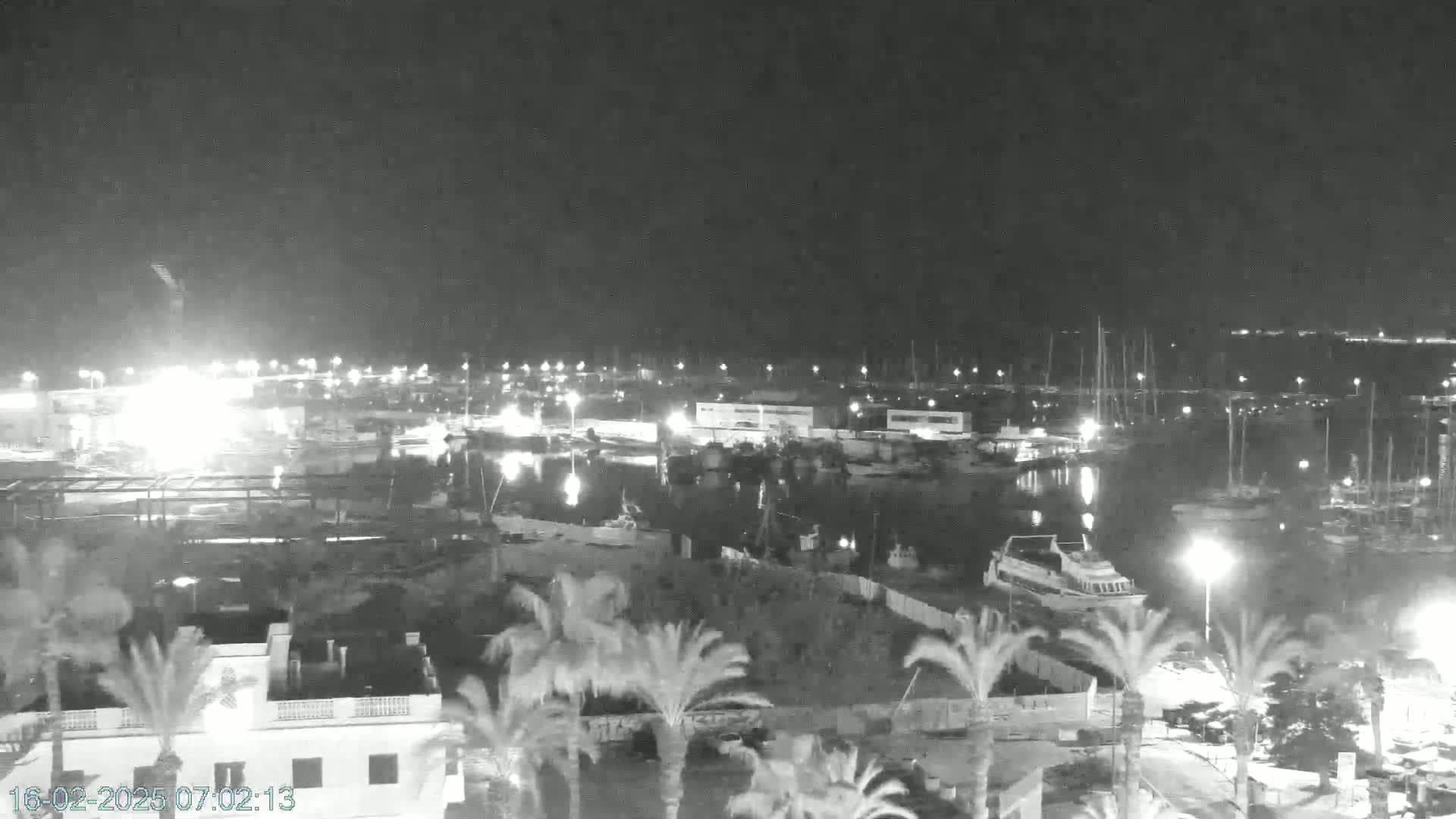 A nighttime, low-light view of a marina filled with boats, surrounded by palm trees and buildings under a dark, clear sky.
