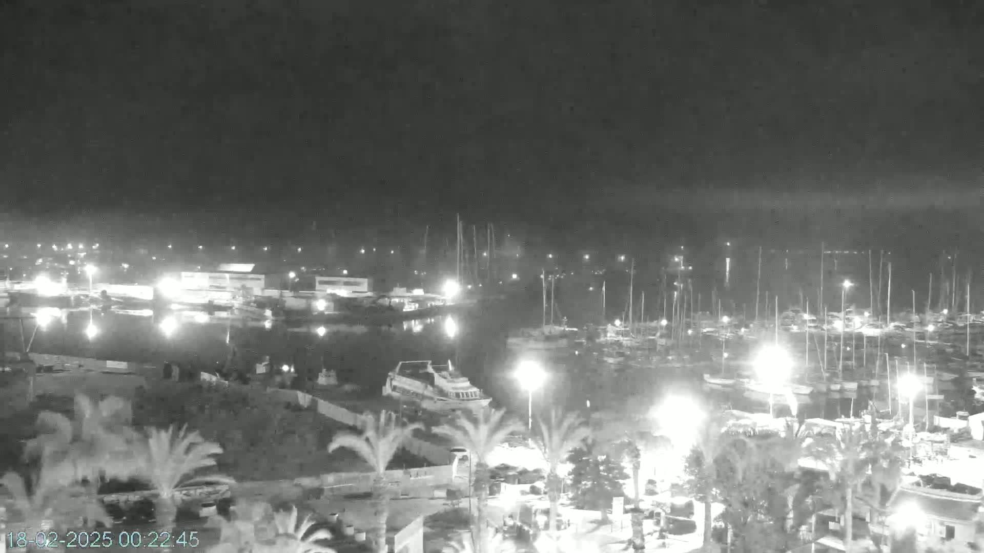 A nighttime view of a harbor filled with boats, illuminated by artificial lights, under a dark, clear sky.