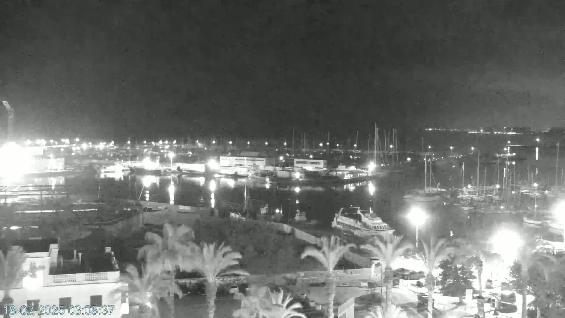 A nighttime, low-light view of a marina filled with boats, surrounded by palm trees and buildings.