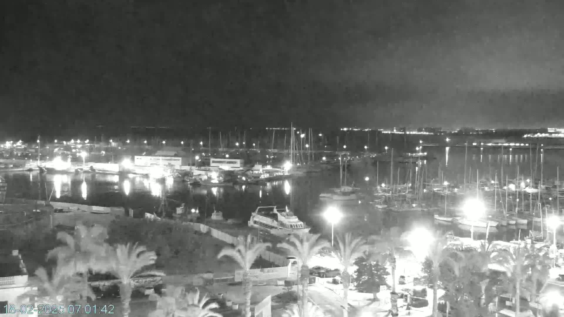 A nighttime, black and white view of a harbor filled with boats, illuminated by lights, with palm trees in the foreground.