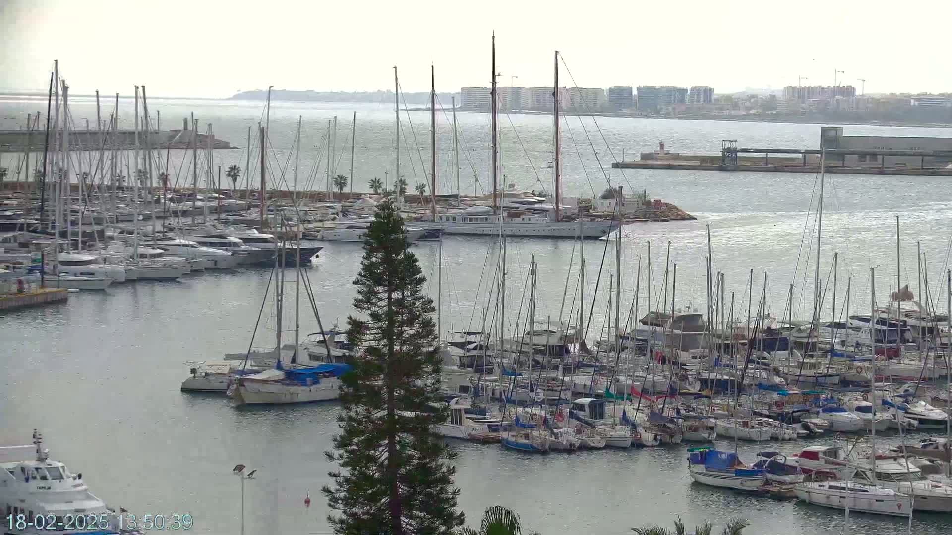 A marina filled with numerous sailboats and motor yachts is situated on calm, overcast water, with a distant city skyline visible.