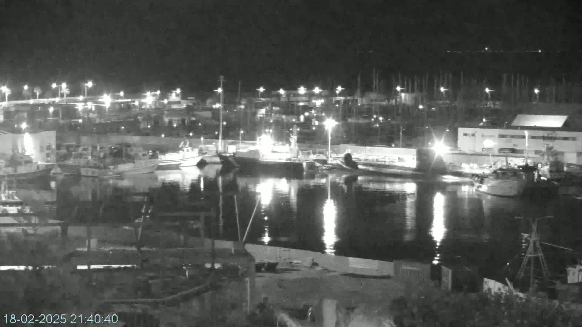 A nighttime, black and white view of a harbor filled with boats and illuminated by lights reflecting on calm water.