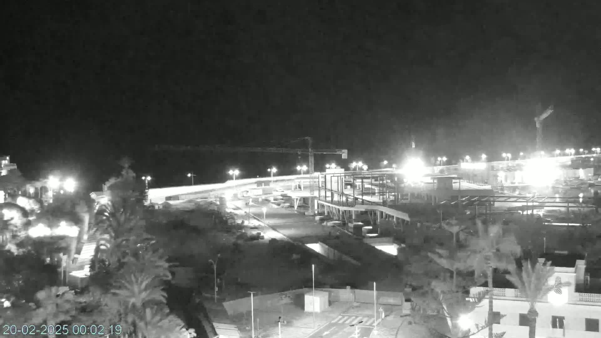 A nighttime, black and white view of a coastal construction site with palm trees and streetlights illuminated under a clear, dark sky.
