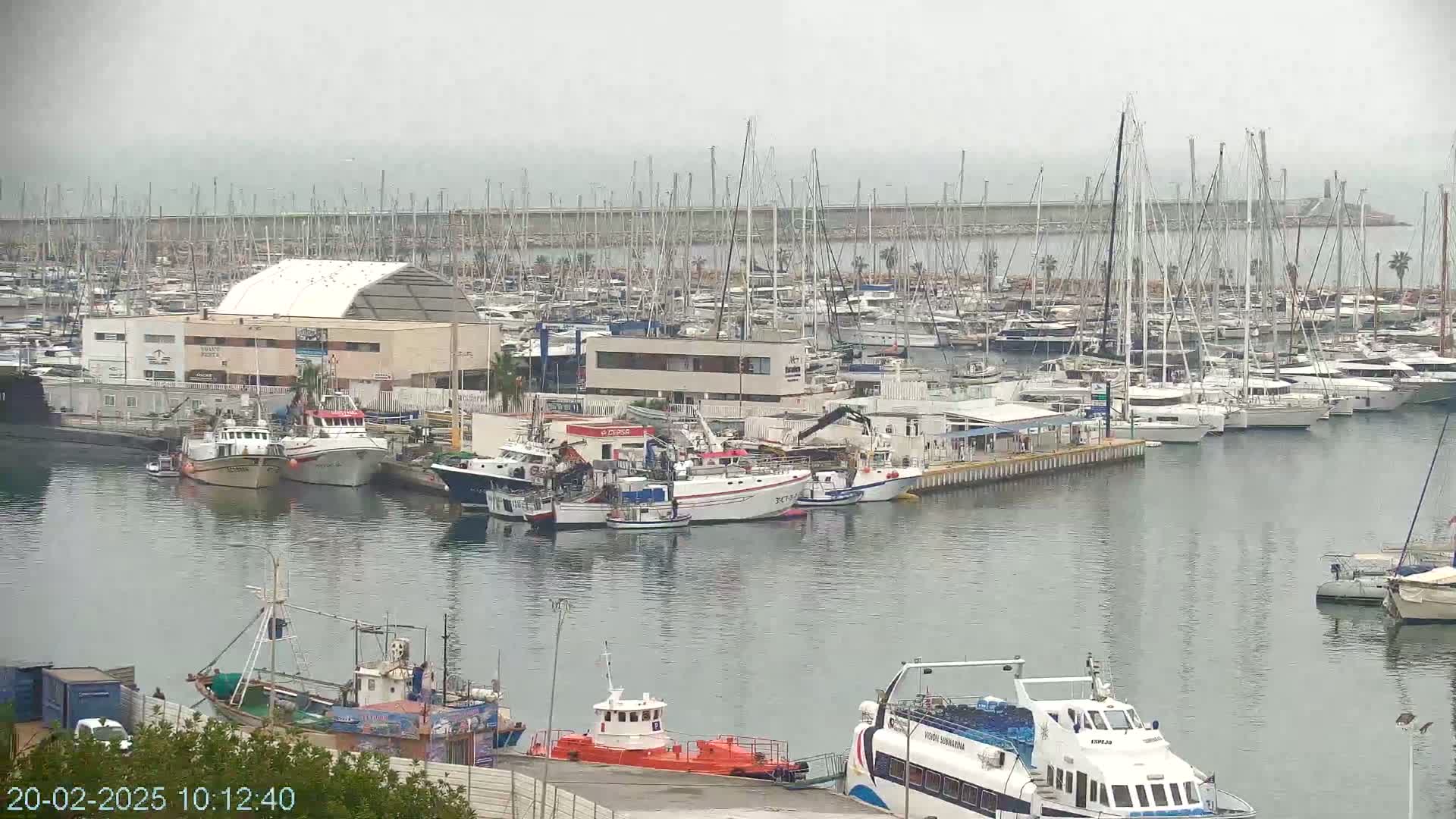 A harbor filled with numerous sailboats and fishing vessels under an overcast sky.