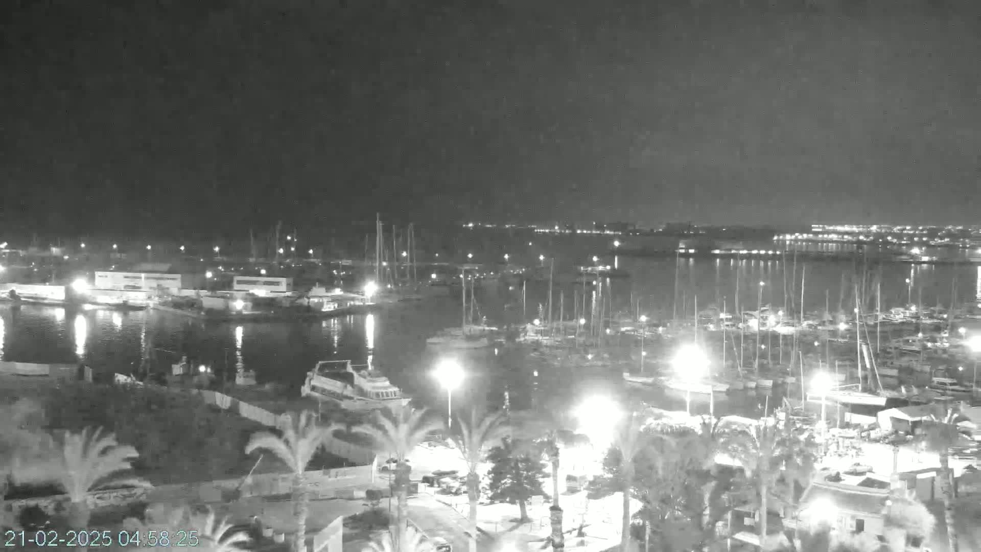 A nighttime, possibly slightly hazy, view of a harbor filled with numerous boats and yachts, surrounded by palm trees and illuminated by artificial lights.