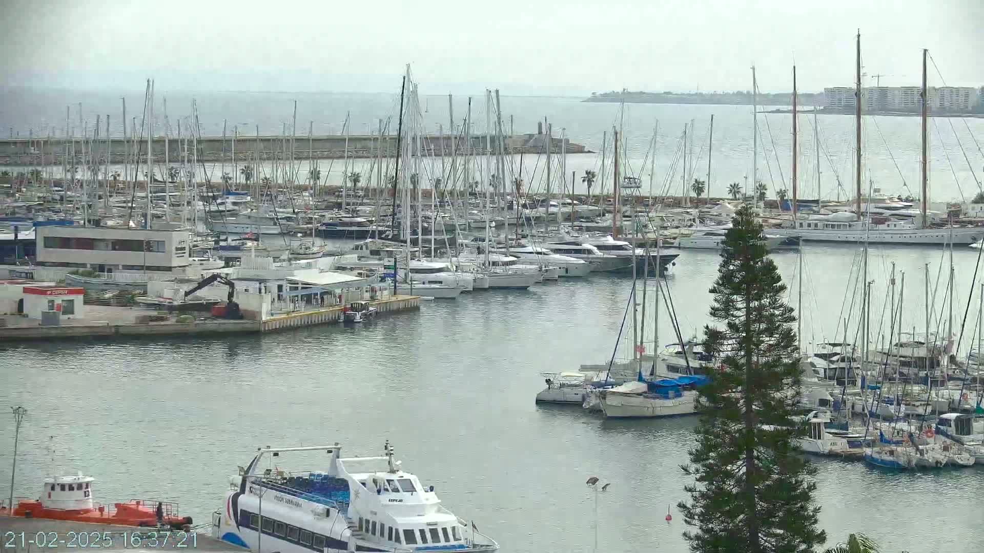 A marina filled with numerous sailboats and yachts under an overcast sky.