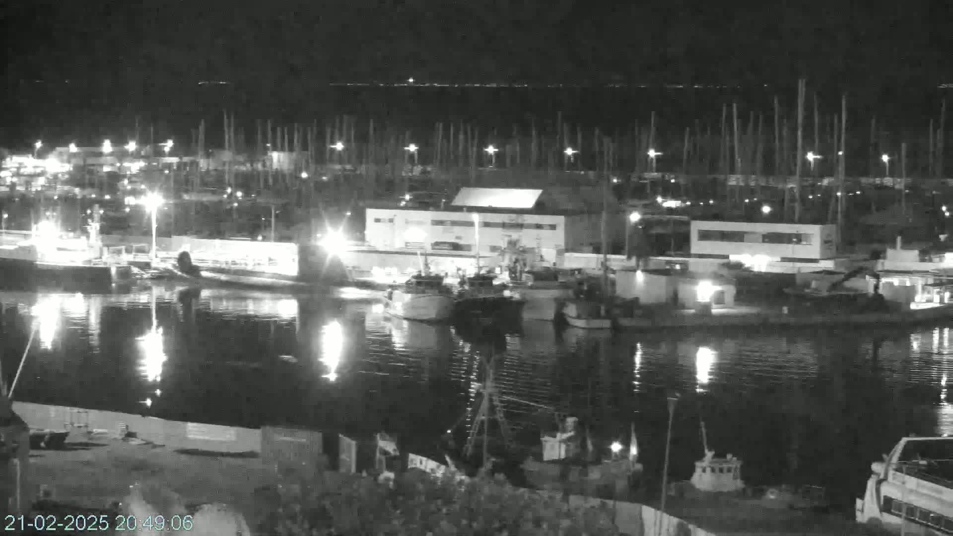 A nighttime, low-light view of a harbor filled with boats and docked ships, illuminated by artificial lights.