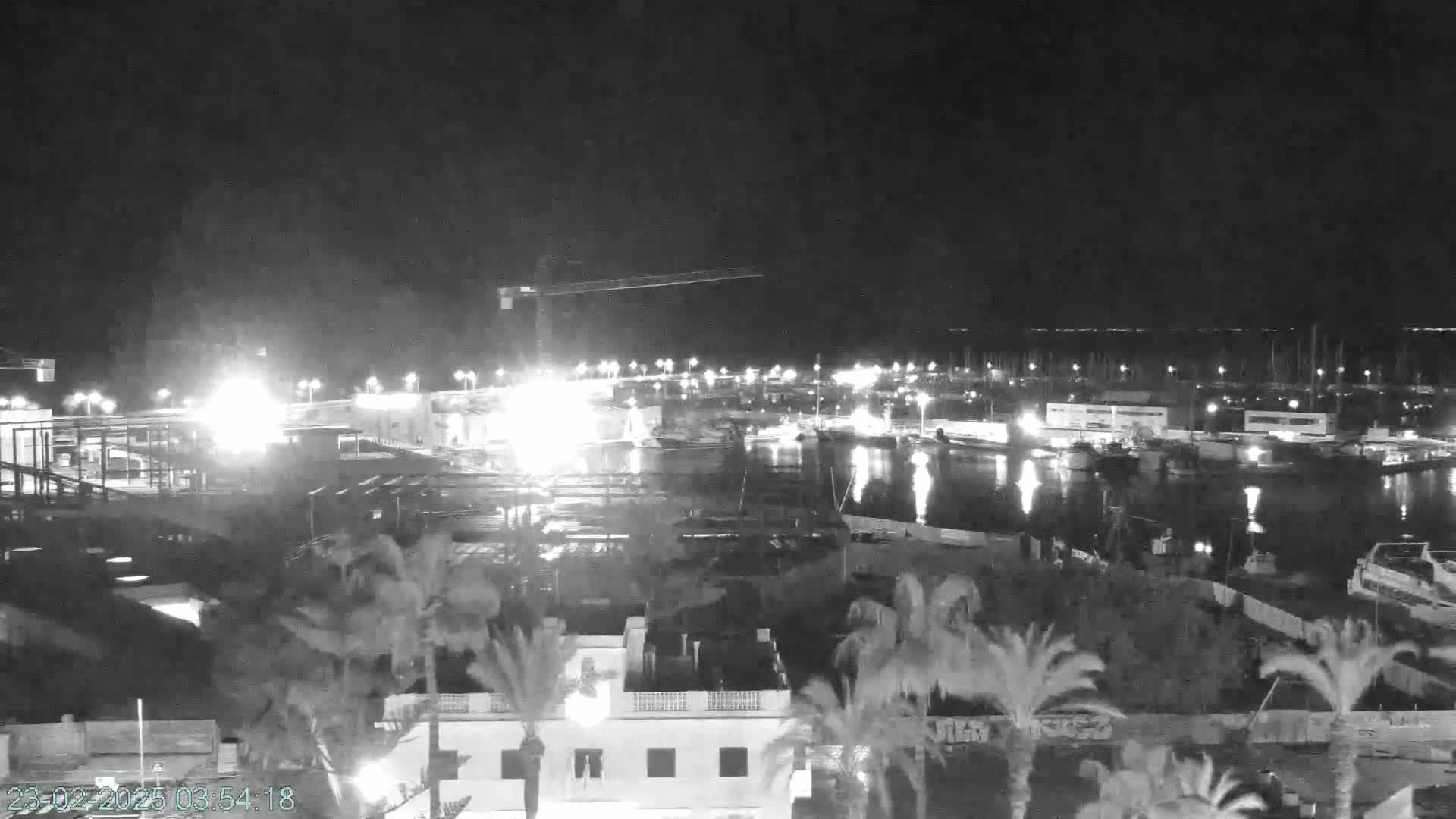 A nighttime, low-light view of a harbor filled with boats, with construction underway near a building and palm trees in the foreground.