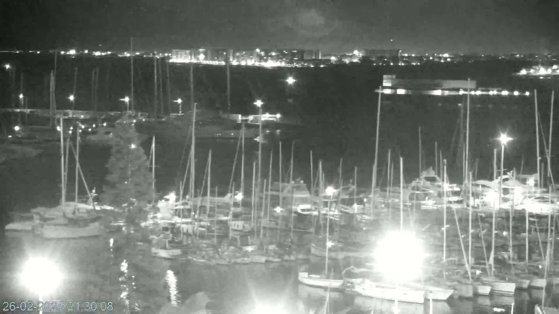 A nighttime, grayscale view of a marina filled with numerous boats and sailboats, with a city skyline visible in the distance under a dark sky.