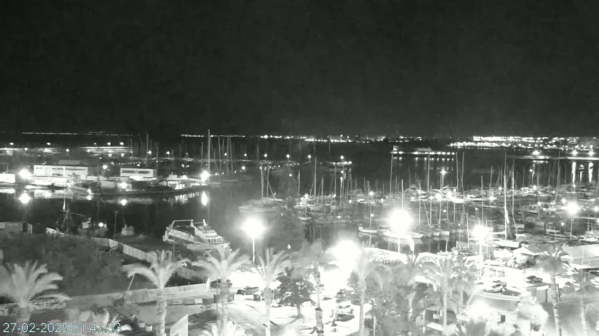 A nighttime, high-angle view of a marina filled with docked boats, illuminated by lights, surrounded by palm trees and buildings.