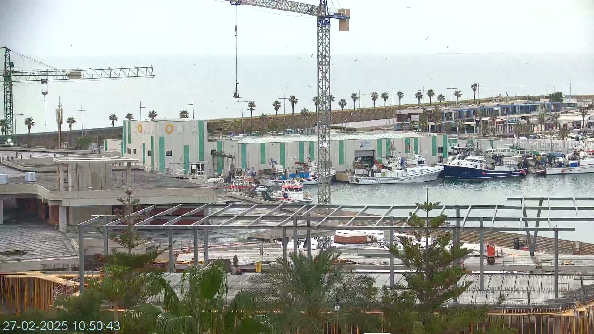 A harbor with numerous fishing boats docked near a large building under construction, all under an overcast sky.