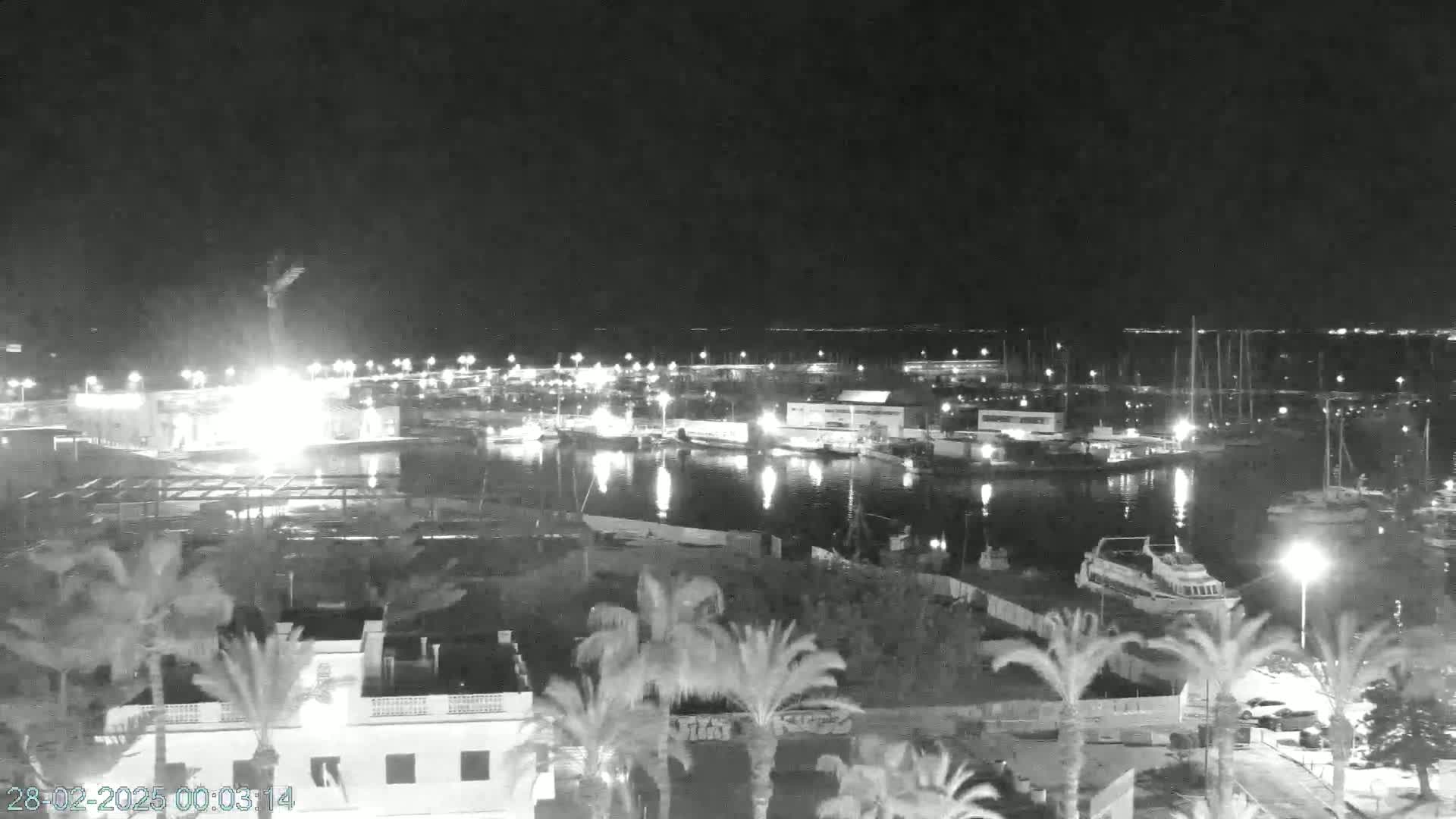 A nighttime view of a harbor filled with boats and illuminated buildings, surrounded by palm trees under a clear, dark sky.