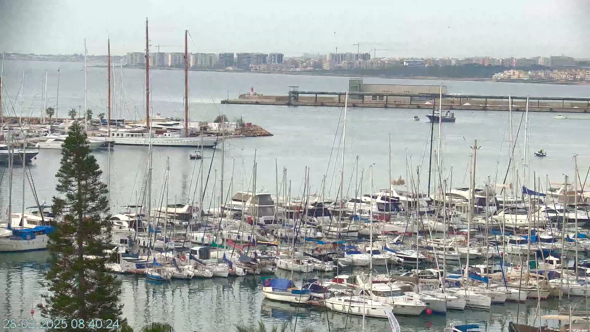 A marina filled with numerous sailboats and motor yachts on a cloudy day.