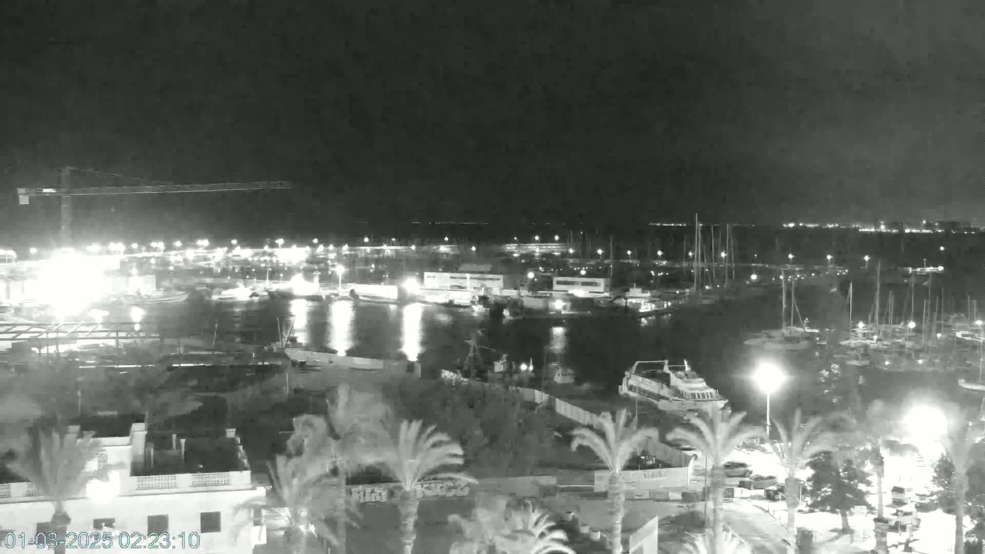 A nighttime, low-light view of a harbor filled with boats, buildings, and palm trees under a dark sky.