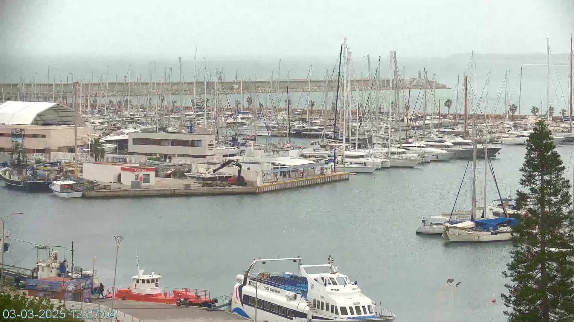 A harbor filled with numerous sailboats and motorboats on an overcast day.