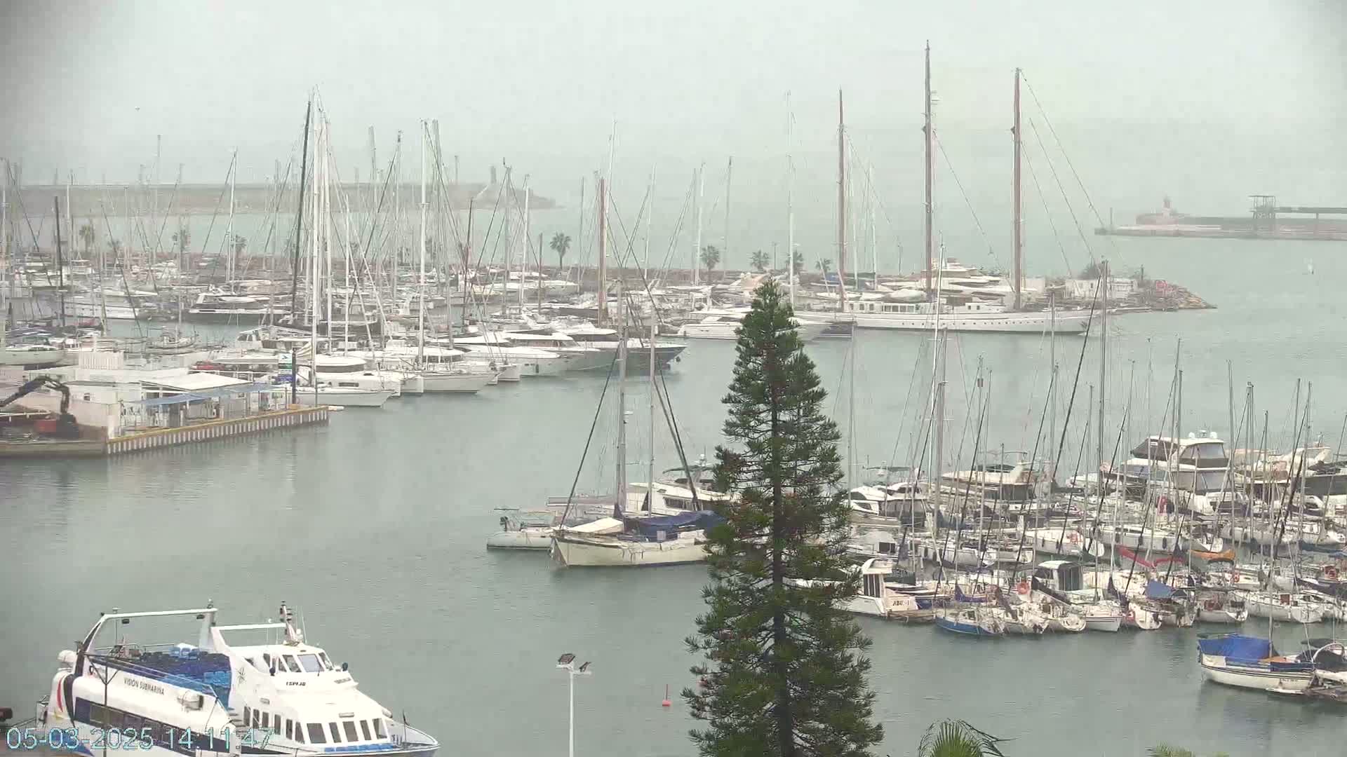 Many sailboats and yachts are docked in a marina on an overcast day with light rain.