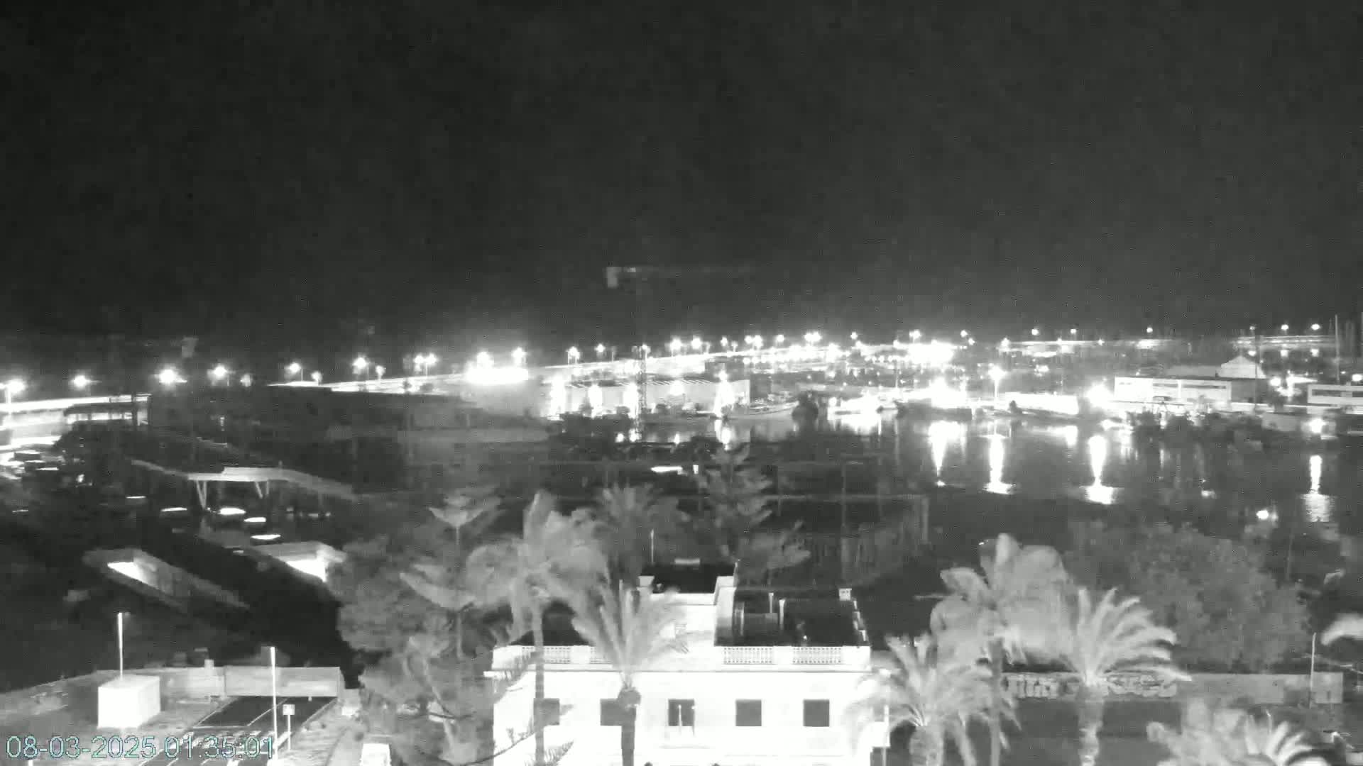 A nighttime view of a harbor filled with boats, surrounded by buildings and palm trees under a dark sky.