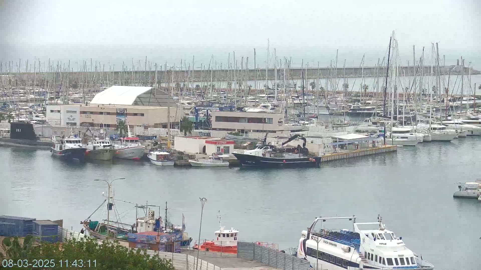 A harbor filled with numerous sailboats and motorboats on an overcast day.