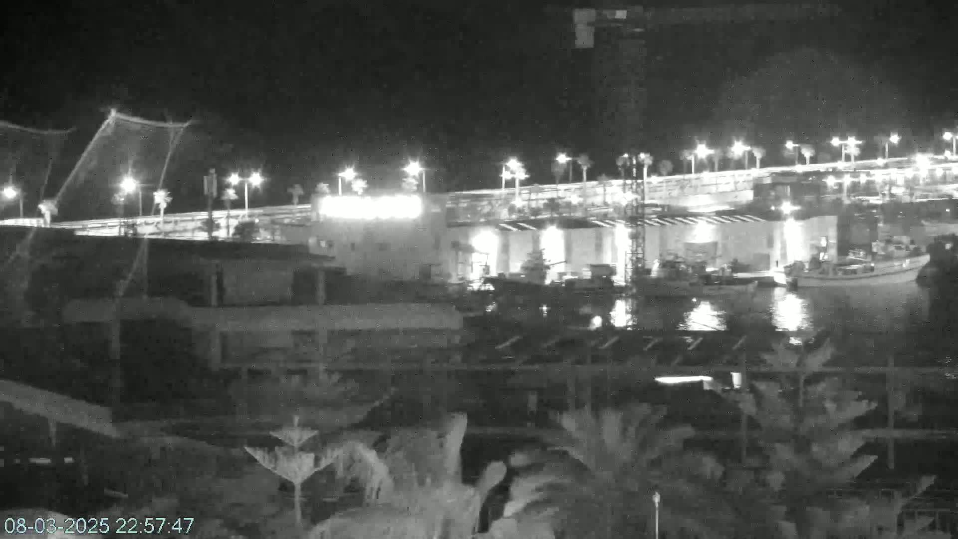 A nighttime, low-light view of a harbor with several boats docked near a brightly lit building and roadway.