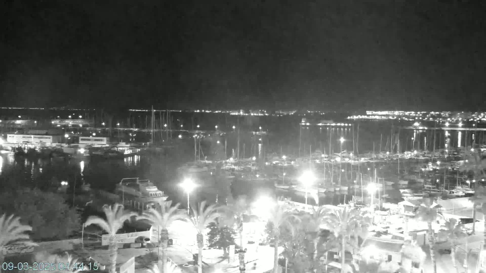 A nighttime, high-angle view of a harbor filled with boats, palm trees, and buildings lit by artificial light.