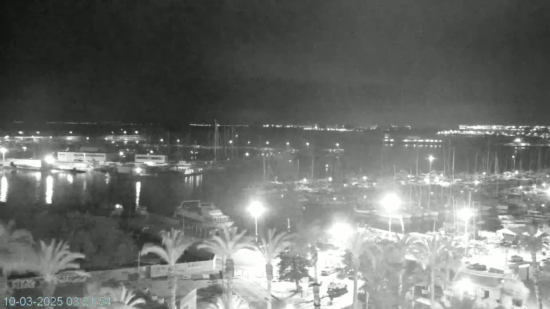 A nighttime, high-angle view of a marina filled with boats, illuminated by lights, with palm trees and buildings in the foreground under a dark, cloudy sky.